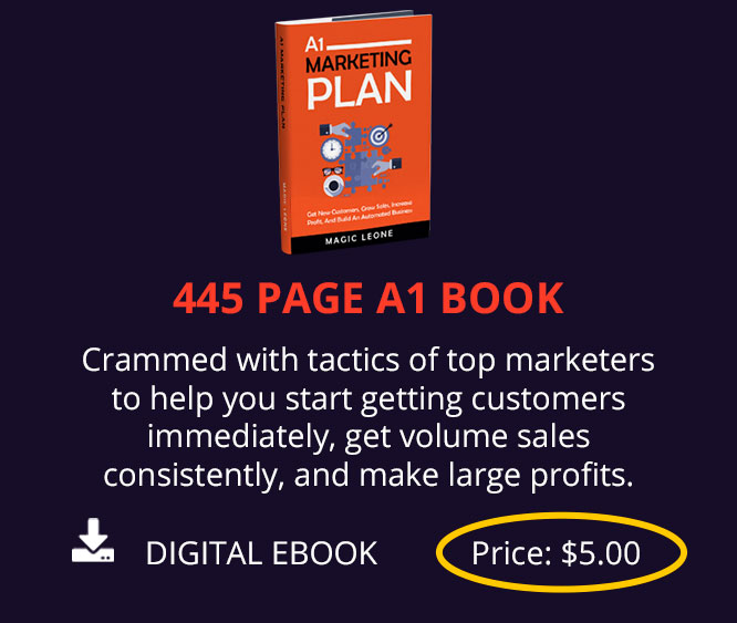 A1 Marketing Plan Book Image And Description