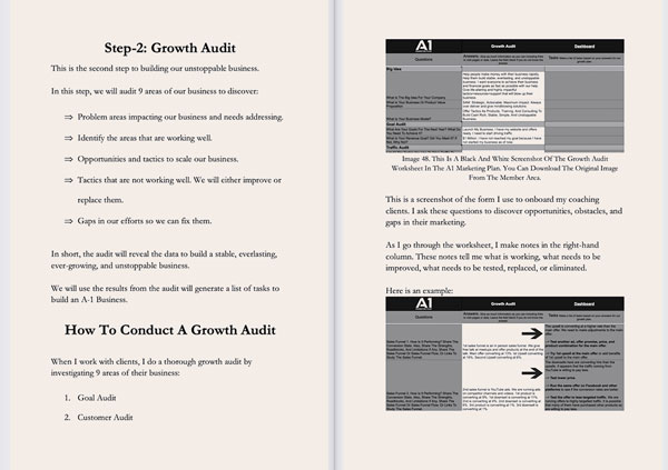 screenshot of chapter on growth audit
